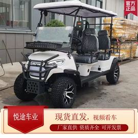 其他电动车;电动观光车