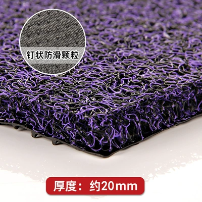 mat plastic carpet thickened, Avtomobil döşəmə paspasları - black-purple-20-4060cm
