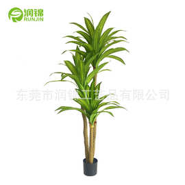 亚马逊热销仿真巴西铁手感大叶巴西木绿植盆栽室内装饰迷你香龙血