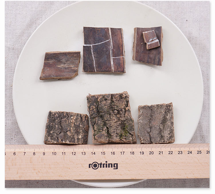 Dried Eucommia Bark Du Zhong 500g Sichuan Origin Traditional TCM Herb quality and texture