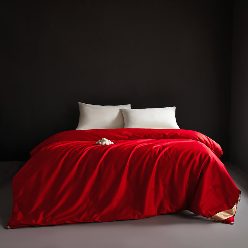 Keep warm silk winter summer duvet, increased thickness