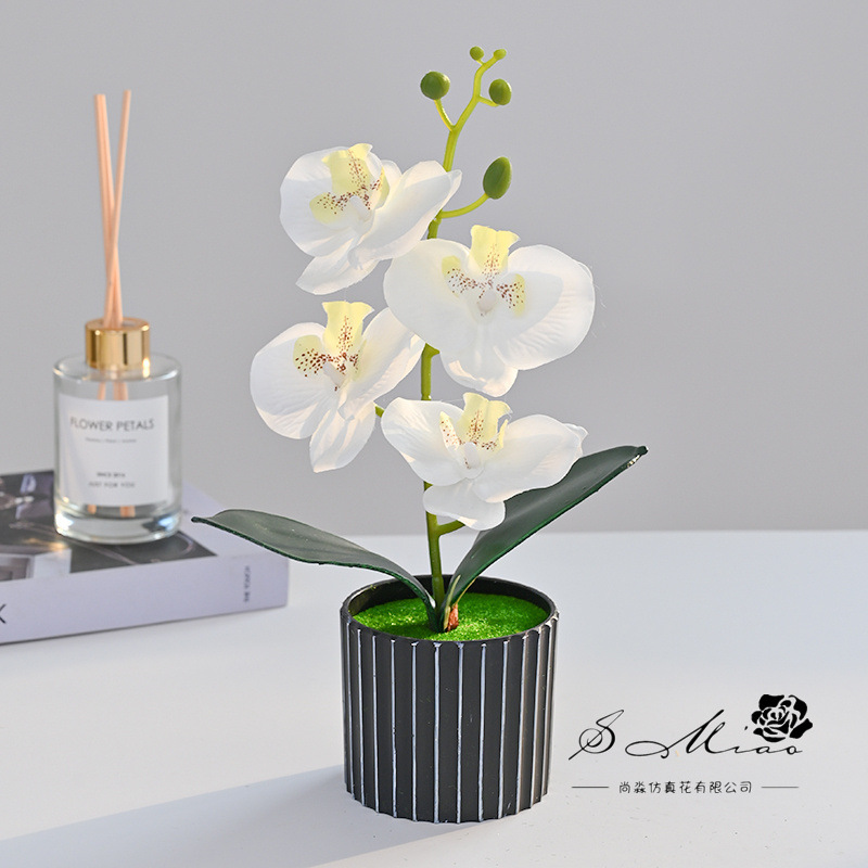Orquídea Phalaenopsis Artificial en Bonsái, Suministrada Directamente por el Fabricante, Plantas Artificiales Creativas para Decoración de Interiores, Flores Artificiales, Plantas en Maceta Simuladas
