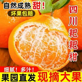 橙;玉米;番薯类