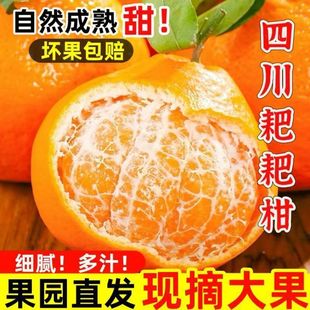 �����|���f���Ĵ�����Ҋ�ҰҸ�5/8�����r����ˮ���ЋD�̽�����