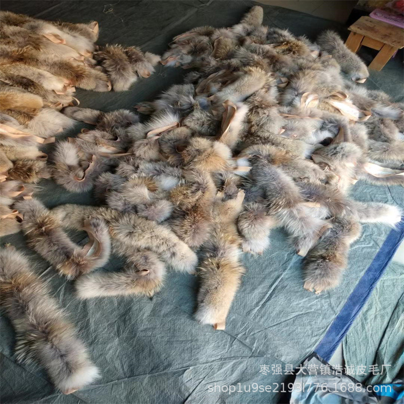 eee030144e005a8c29217082311b6f