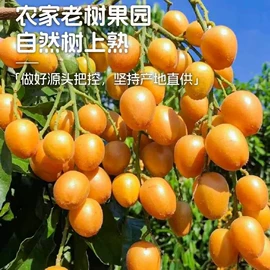 桂圆干;荔枝;干果生货