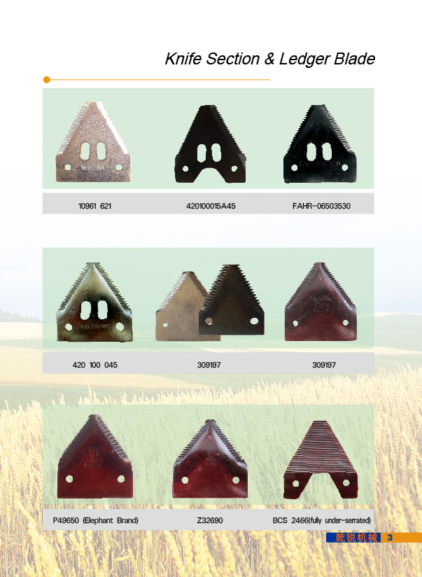 內(nèi)頁5.jpg