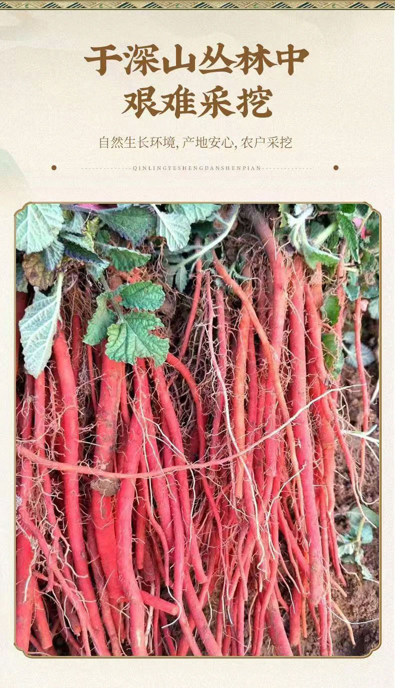 Dried Danshen Red Sage Root Segments Dan Shen Bulk Herbal Decoction Pieces 1000g in use