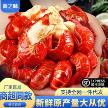 无冰龙虾尾特级商用批发冷冻生鲜特大号一级整箱鲜活鲜冻虾球