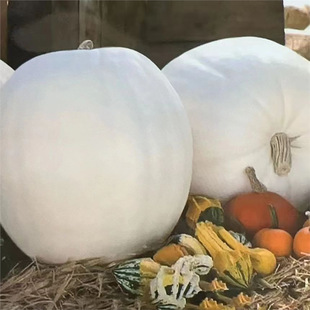 ��ɫ�����ϹϷN�ӱ��O�ܾ����ϹϷN�ӳ�����ϹϷN�Ӽ�ͥСԺ�߲�