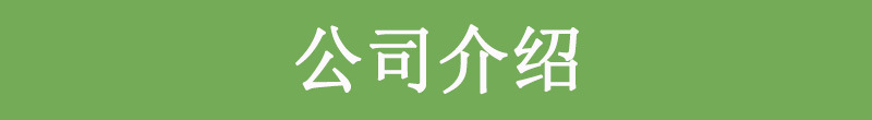 公司介绍 拷贝