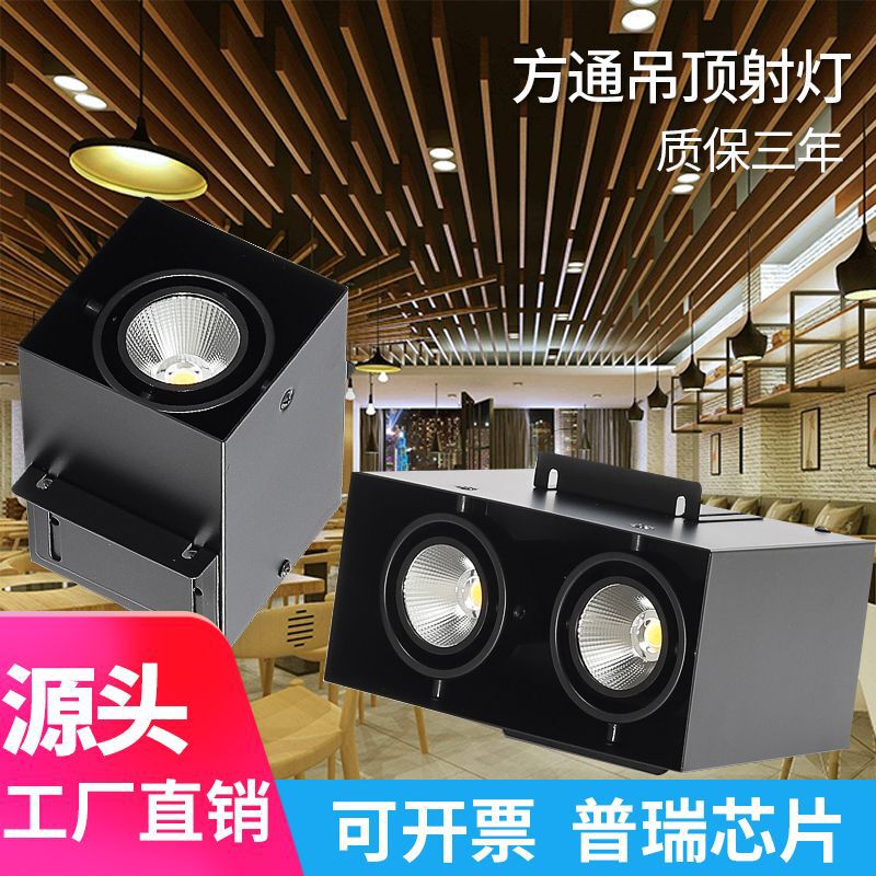 Aluminum Square Channel Special Spotlight Square Double-Headed Led Downlight Commercial Store Cob Square Channel Ceiling Grille Light Downlight