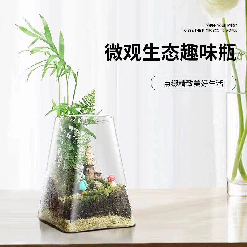 Мох микро пейзаж экологическая бутылка душный настольный мини-горшок офисный Крытый Творческий Пейзаж зеленые растения украшения