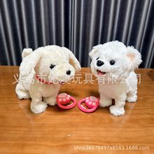 �������½�늄ӹ�ë�q�����^�����ߕ��c�^�uβ�̓�ͯ������l