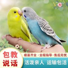 ��Ƥ�W�^����B���P�W�^���w�Bĵ���W�^���fԒ���W�^�����B�W�^