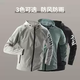 运动套装;健身服;健身套装
