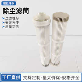 厂家直供除尘滤筒环卫清扫车多用型除尘滤芯工业快装滤筒