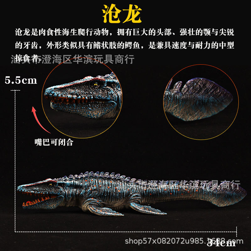 모사사우루스 D타입 (280g)