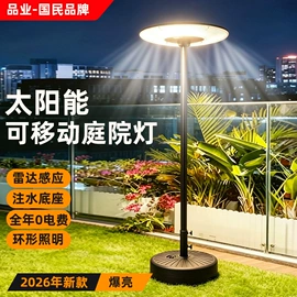 太阳能灯;庭院灯;路灯