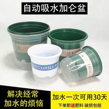�Ӻ�������ˮ������������͸���׵������������⽽ˮˮ��