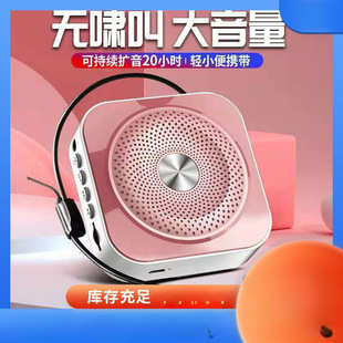 Bee Loudspeaker Teacher Multi-function Portable Plug-in Card U Disk Bluetooth Small Sound