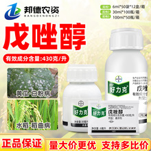 ���ݶ� �������������Ѳ�ݮ��׷۲��׸������ǲ��rș������