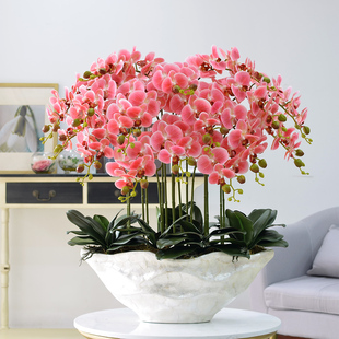 Butterfly Orchid Set Fake Flower Potted Plastic Flower Hotel Lobby Living Room Entrance Decoration