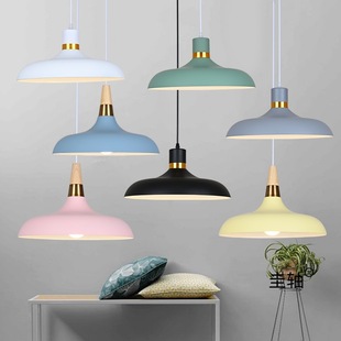 Single-Head Dining Table Chandelier Modern Minimalist Shop Storefront Restaurant Studio Beauty Salon Creative Stylish Single Lampshade