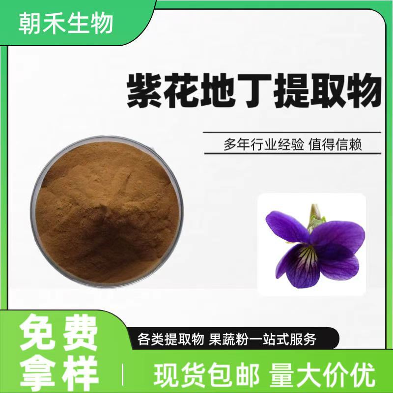Purple flower groundsel extract, concentrated powder of purple flower groundsel, raw material manufacturer of groundsel extract, in stock with free shipping Purple flower groundsel extract, concentrated powder of purple flower groundsel, raw material manufacturer of groundsel extract, in stock with free shipping