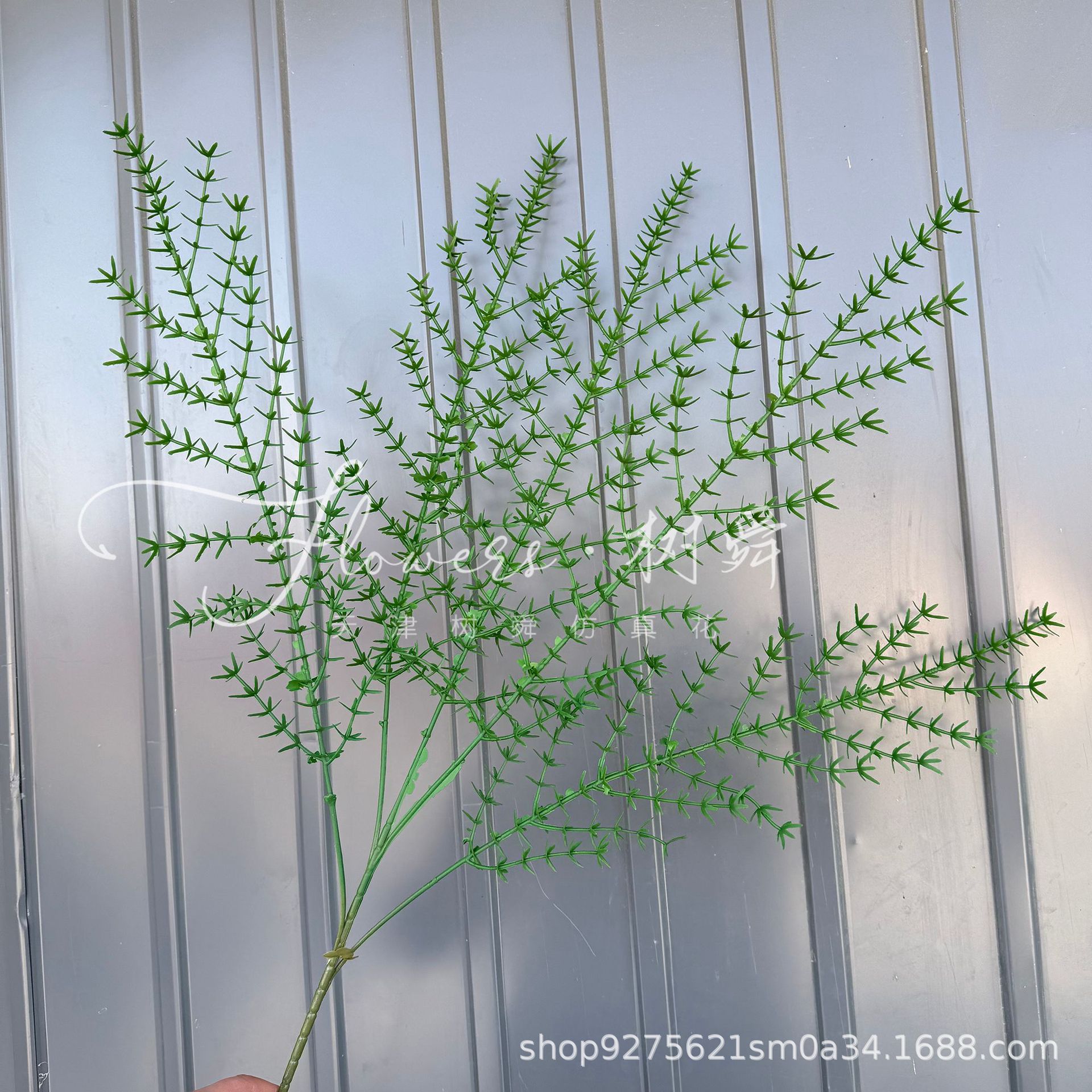 5 tenedores de plantas acuáticas