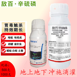 ���������� �������ϻ��N����ρ���Q���^�� ���º��x�rș���x��