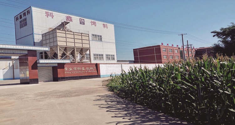 微信图片_20250409084814_conew1