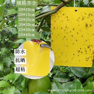 Sticky insect board yellow board double-sided sticky thrips blue board greenhouse orchard tea garden special waterproof sunscreen base government procurement