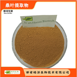 ɣ�~��99% ��ɣ�~��ȡ�� ɣ�~����Mulberry leaf powder������