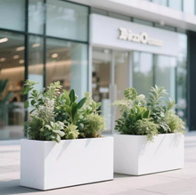 ���⻨���Fˇ���P䓻����҃Ȼ��������G�������ۘǲ��V���Nֲ����