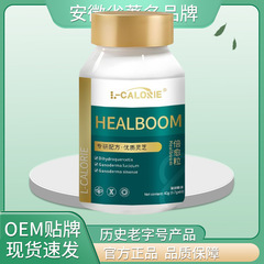 HEALBOOM ダブルリカバリー グレイン 42g 高品質の厳選された素材