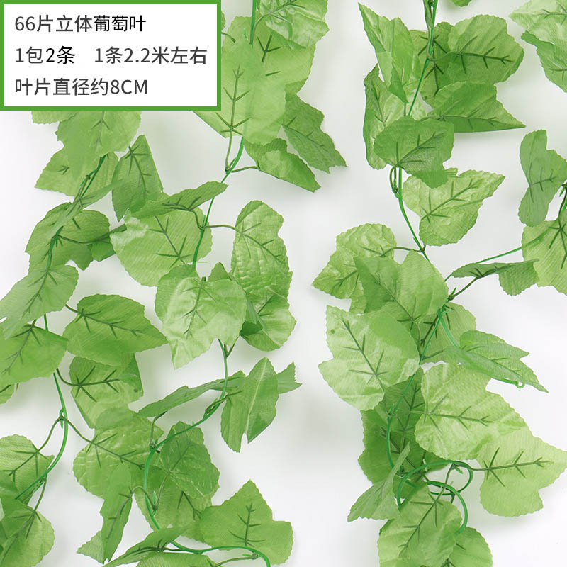 66 장 (1 팩 2 장)