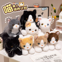 跨境猫咪公仔毛绒玩具小猫咪布偶猫儿童生日礼物女生陪伴公仔娃娃