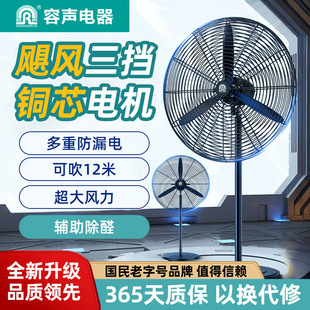 Rongsheng Industrial Fan High-Power Industrial Fan Powerful Floor Fan Powerful Fan High Wind Construction Site Fan 2025