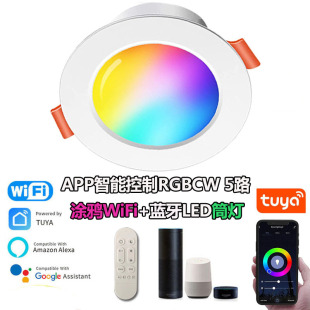 Graffiti wifi smart downlight panel light APP remote control dimming tone color Alexa voice RGB full color