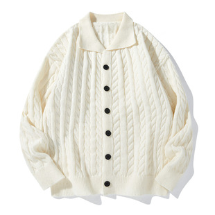 Solid Color Cardigan Sweater Men's Autumn and Winter New Shirt Wool Top High-end Casual Knitwear Coat Men