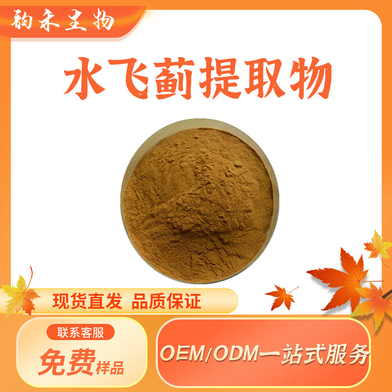水飞蓟提取物水飞蓟粉奶蓟草提取物含水飞蓟素水溶性现货咨厂家