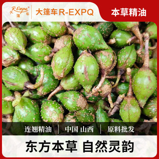 �B�N���͆η�����ԭ�����l�����o���{����޹SPA��Ħ����܇����