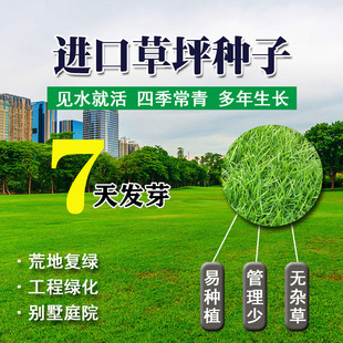 ��ƺ�N���ļ��಻�޼����Ѻ������R����ͥԺ�e����Ƥ�N���o�¾G��