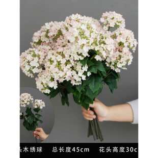 ���滨���^ľ�����c���Ļ�Y���b�������·���廨������ˇ