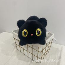 可爱大眼黑猫公仔毛绒玩具仿真灰猫睡觉抱枕女生布娃娃生日礼物