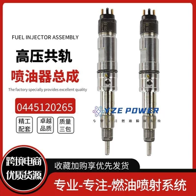 Oil pump, nozzle Weichai Wd10 Engine