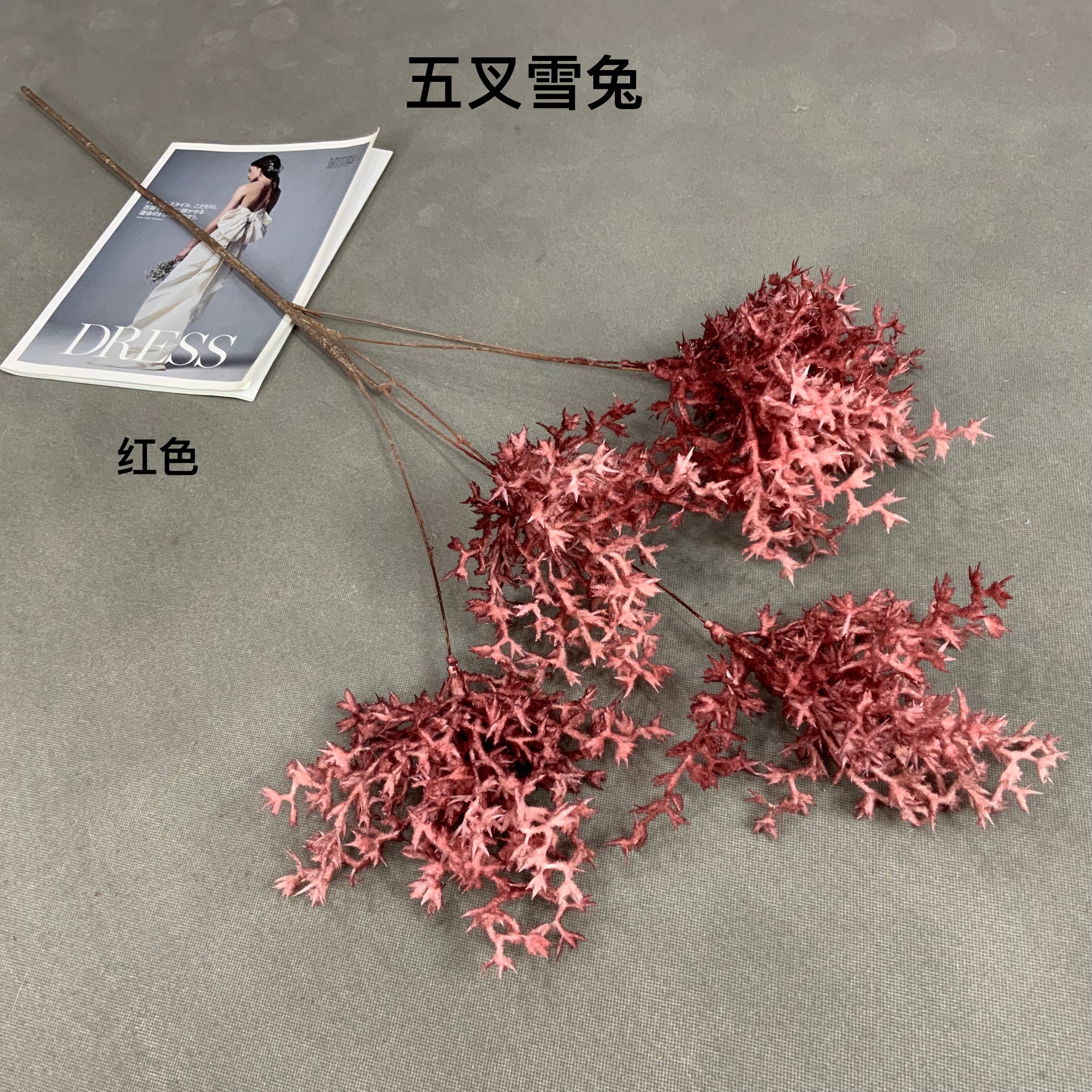 90ac762c34073ea860d3464c9d18e8