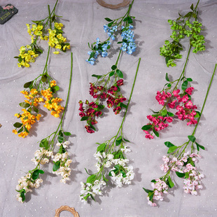 ����ָ���滨�ٻ�����Ʒ���콁����c�����û��߼��쾰��Y����