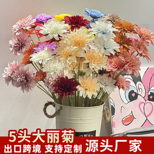 5�^�����շ��滨�ٻ����콁����c��Y�쾰�b���·��������ˇ